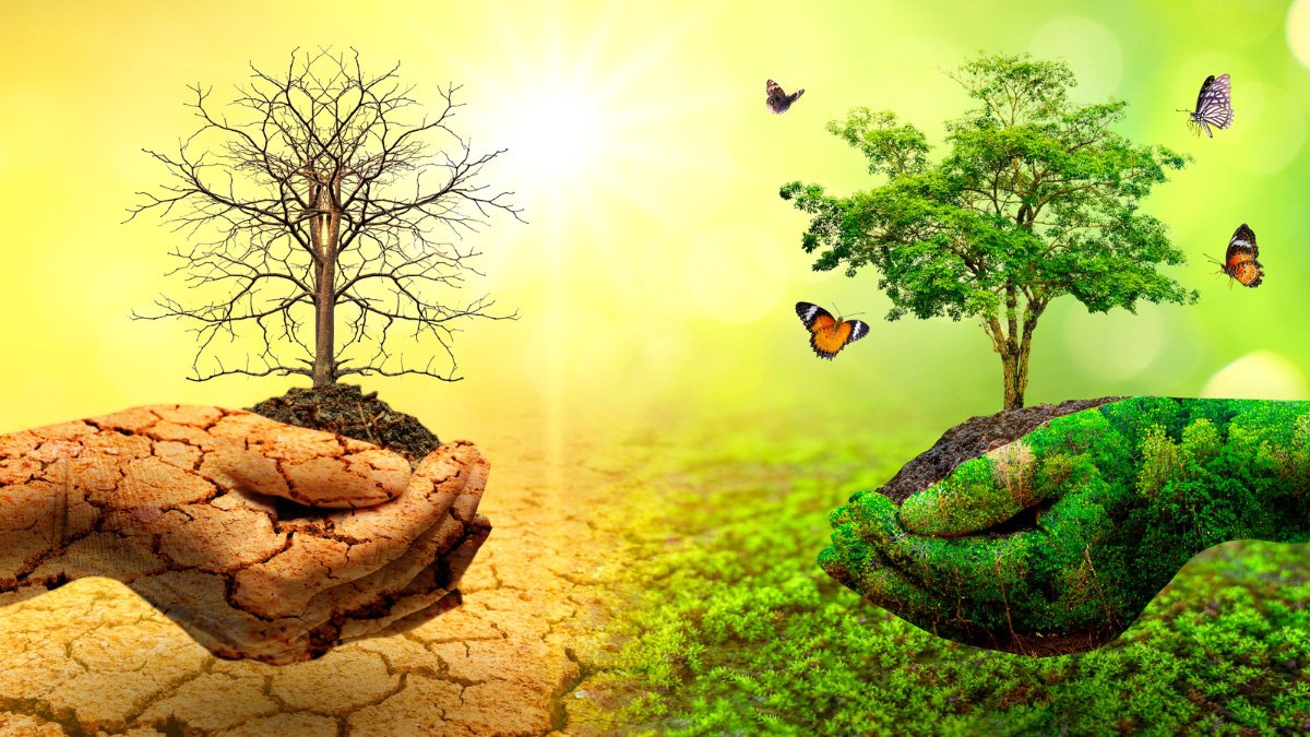 Anna Viesca Sánchez explica cómo aterrizar la crisis climática en la vida diaria