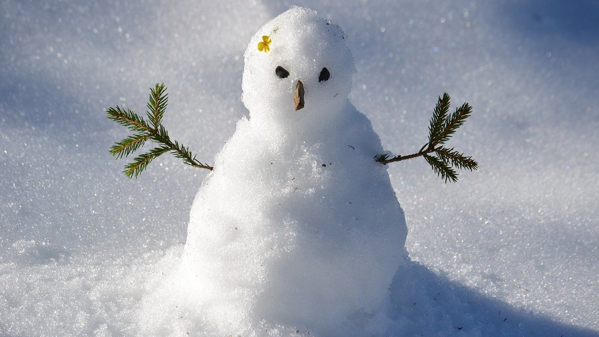 Frentes seguirán congelando México toda la semana